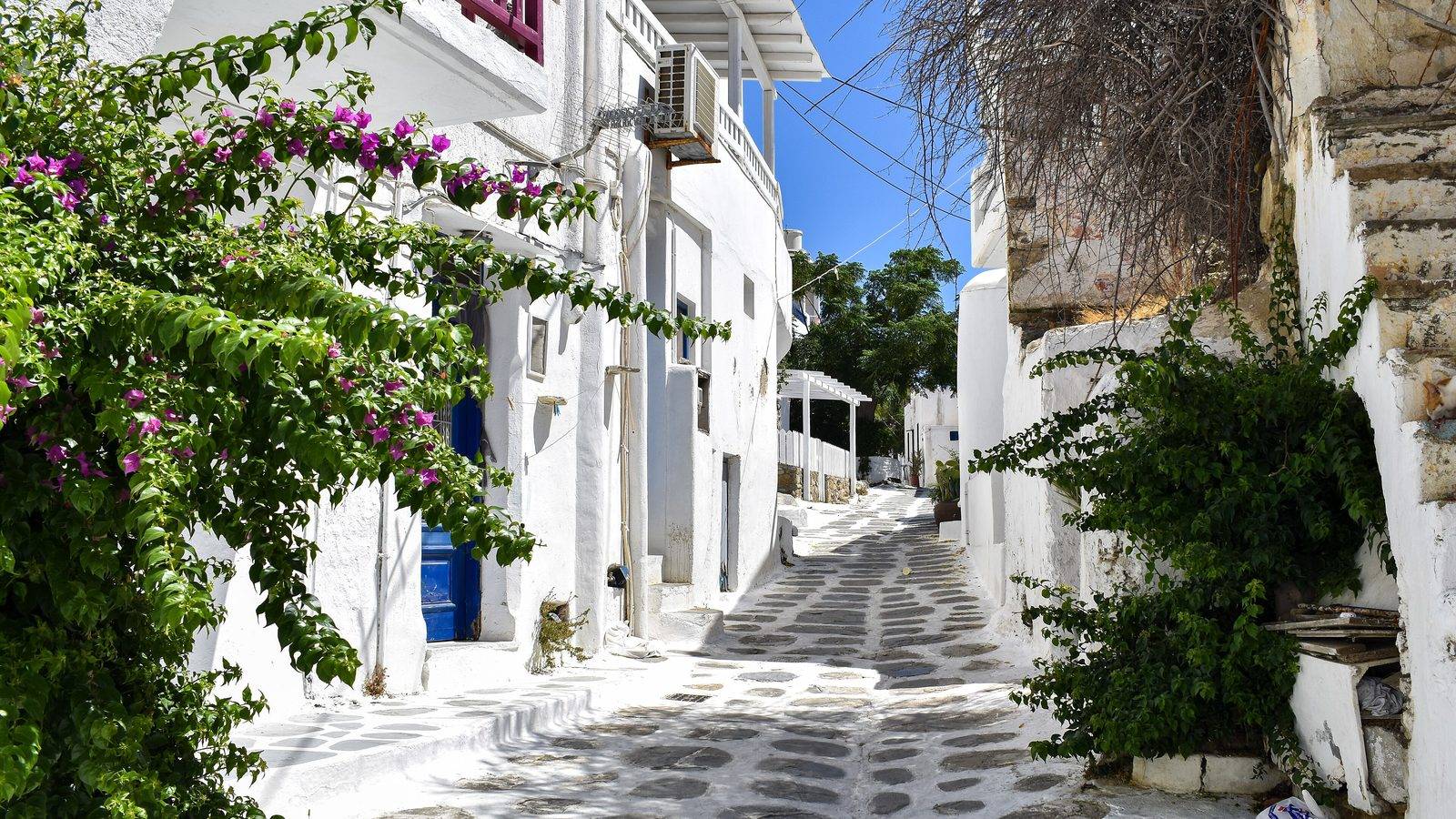 A whitewashed lane in Mykonos Town with bougainvillea and paving stones outlined in white